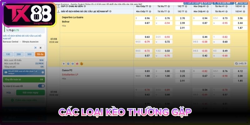Các loại kèo cược thường gặp trong bóng đá