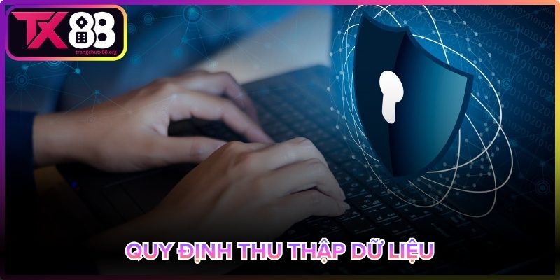 Thu thập dữ liệu minh bạch theo chính sách bảo mật Tx88