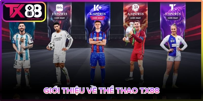 Tổng quan Thể Thao Tx88 đa dạng kèo cược